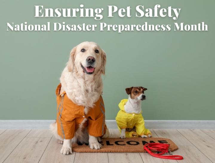 Ensuring Pet Safety: National Disaster Preparedness Month