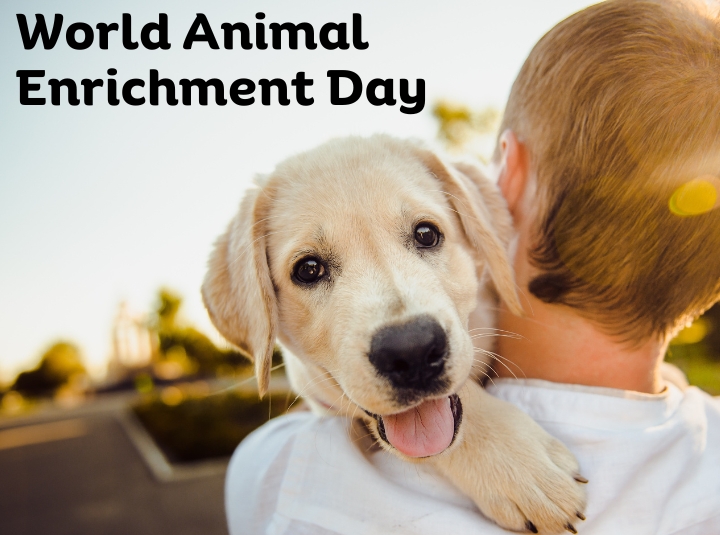 Celebrating World Animal Enrichment Day