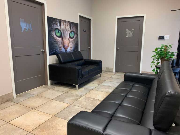 Feline Lobby